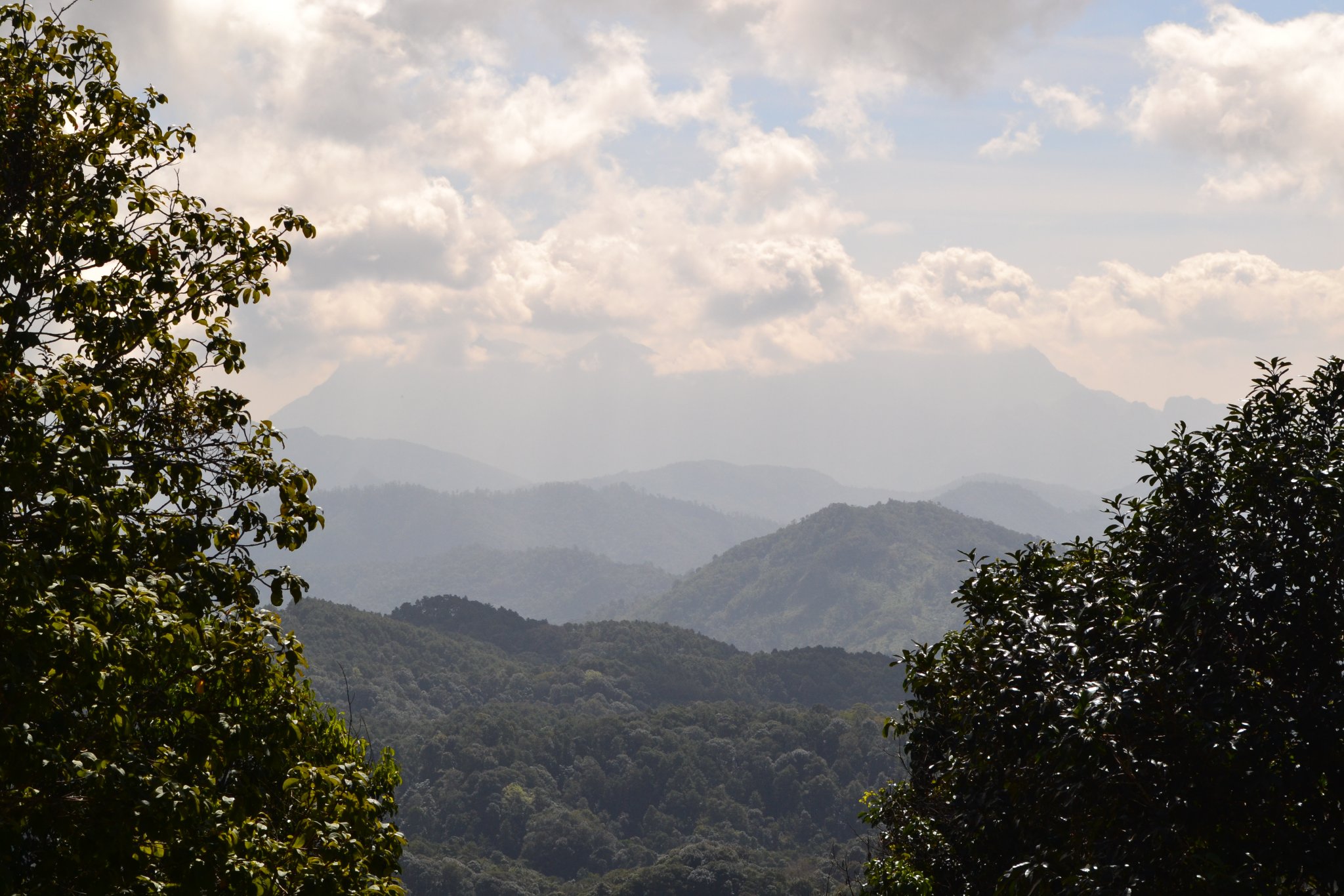 DSC_0520.JPG
