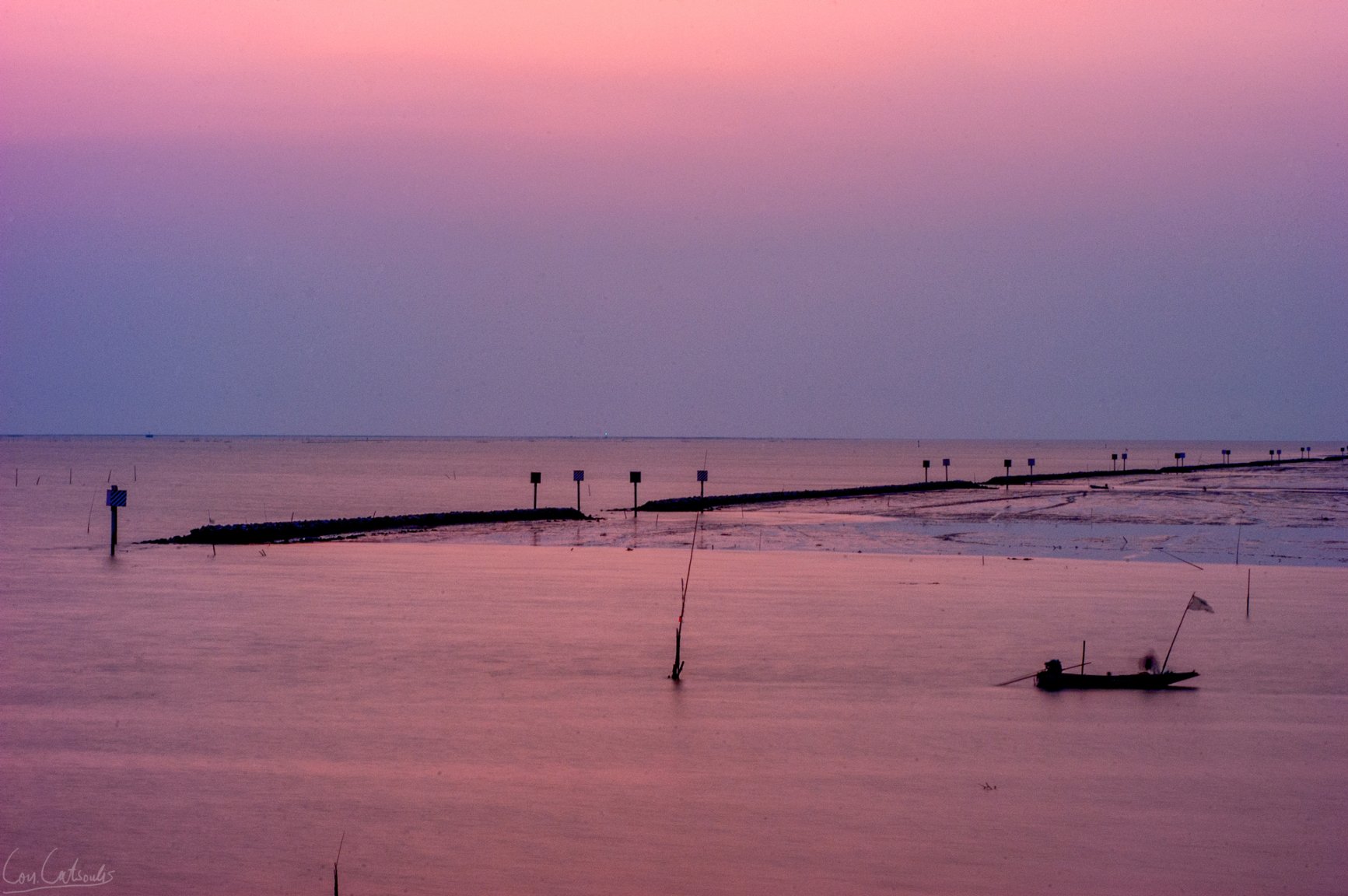 DSC_6890.jpg