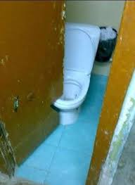 toilet.jpg