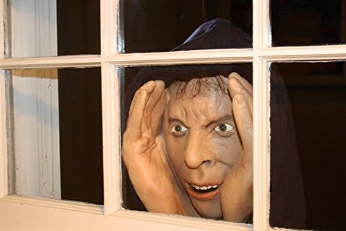 window.jpg