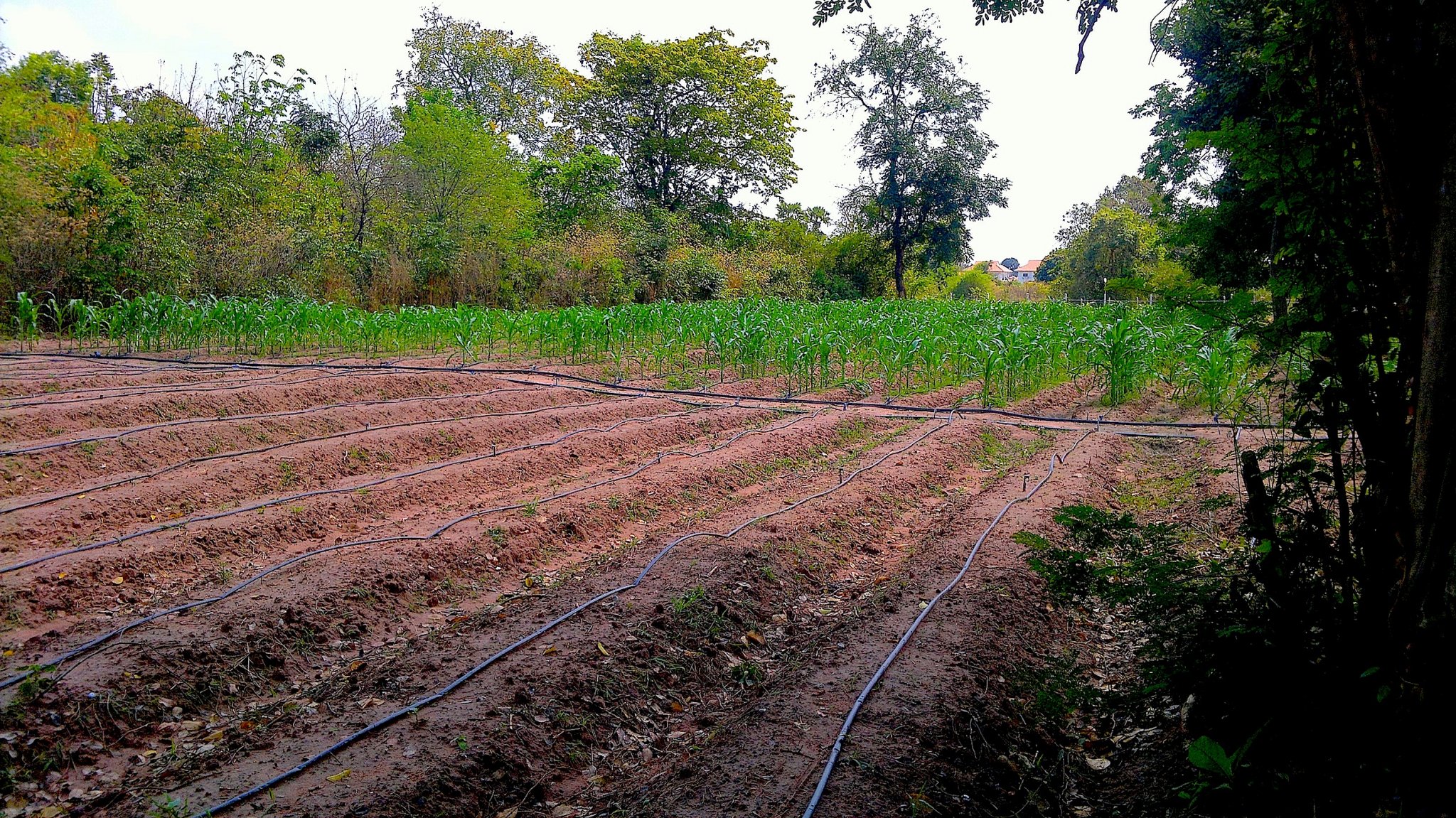 2012-03-11-014.jpg