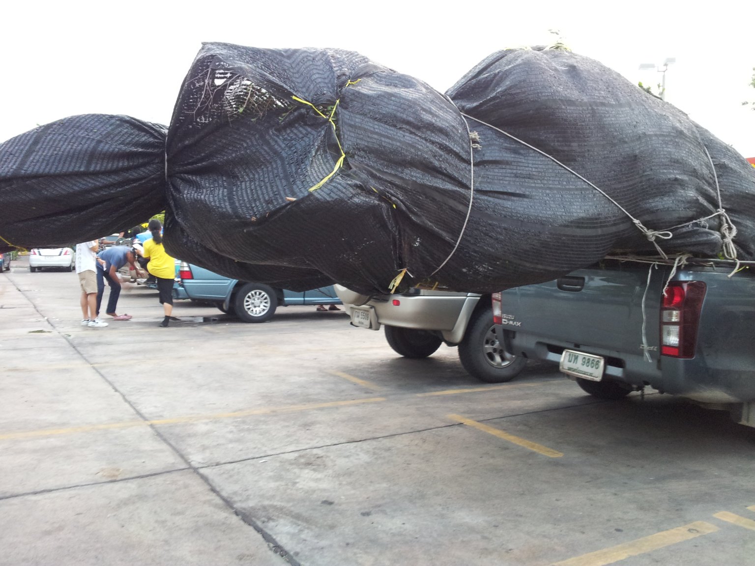 20150410_182115.jpg