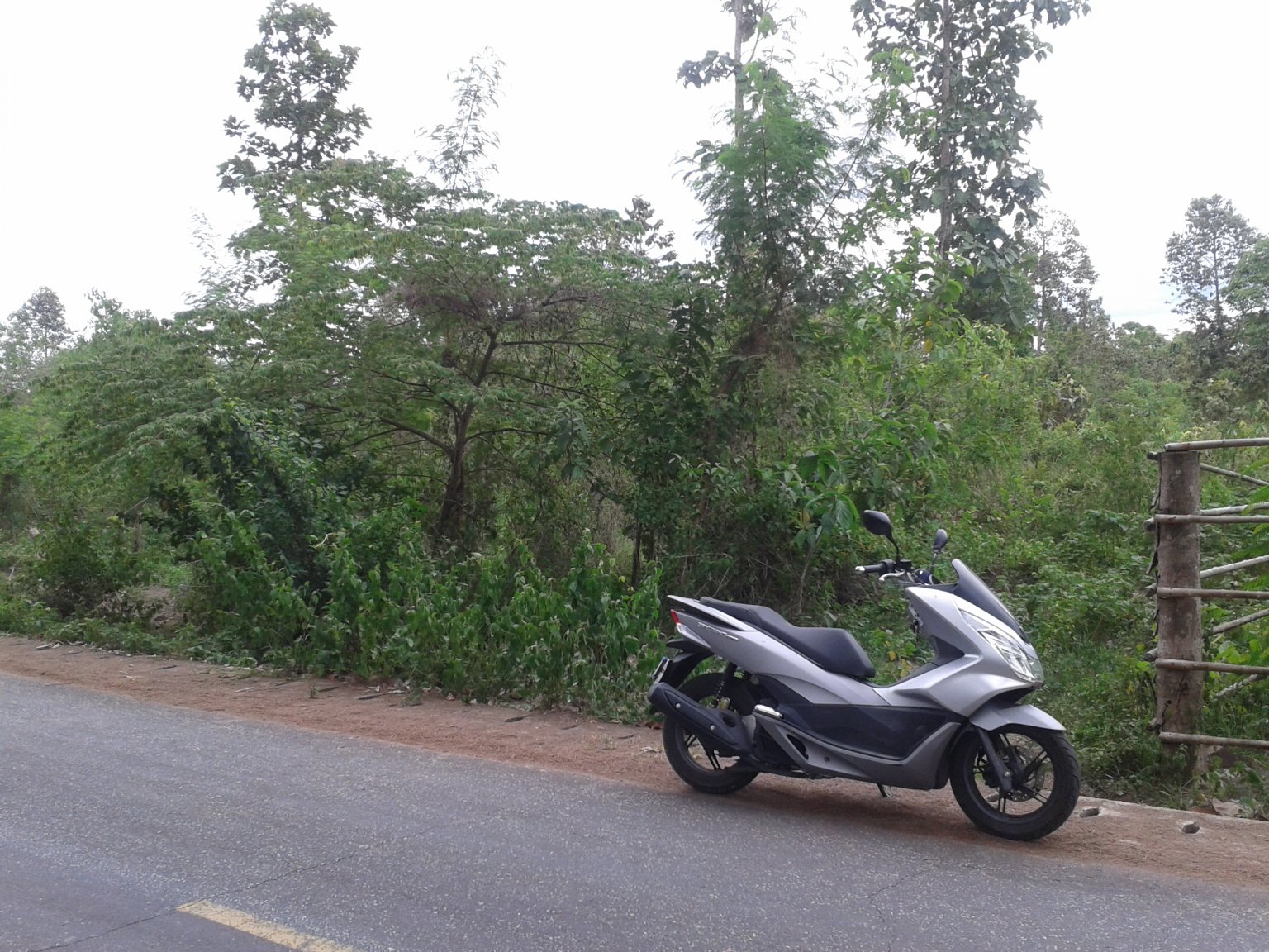 20150718_123236.jpg