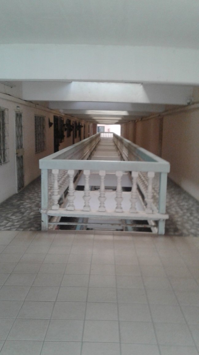 20170324_145259.jpg