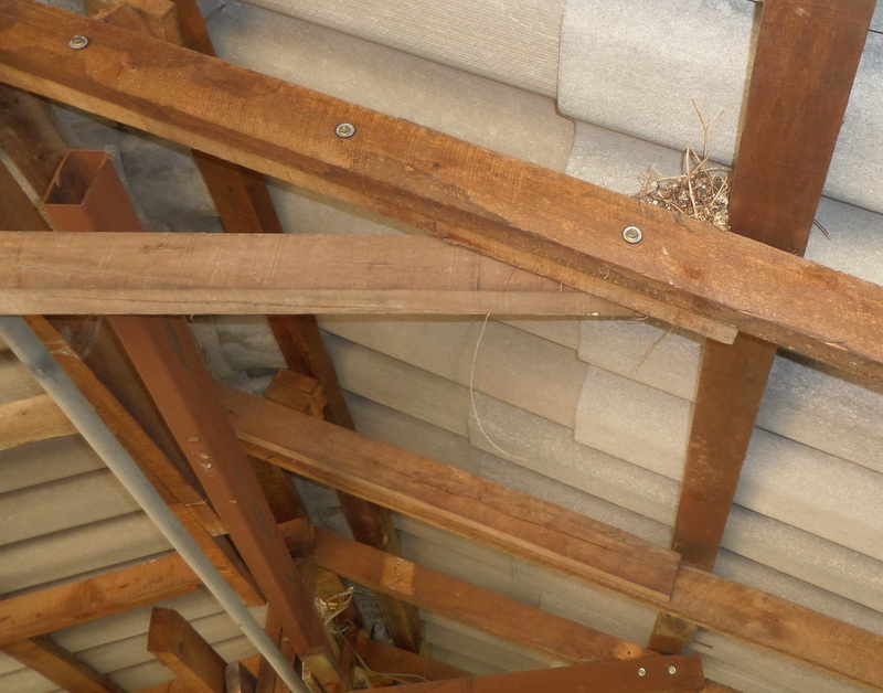 Roof Screws.JPG