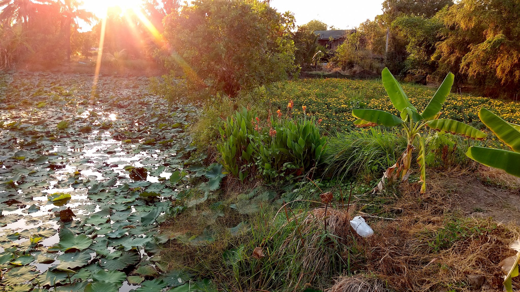 IMG_20170301_173905927_HDR copy.jpg