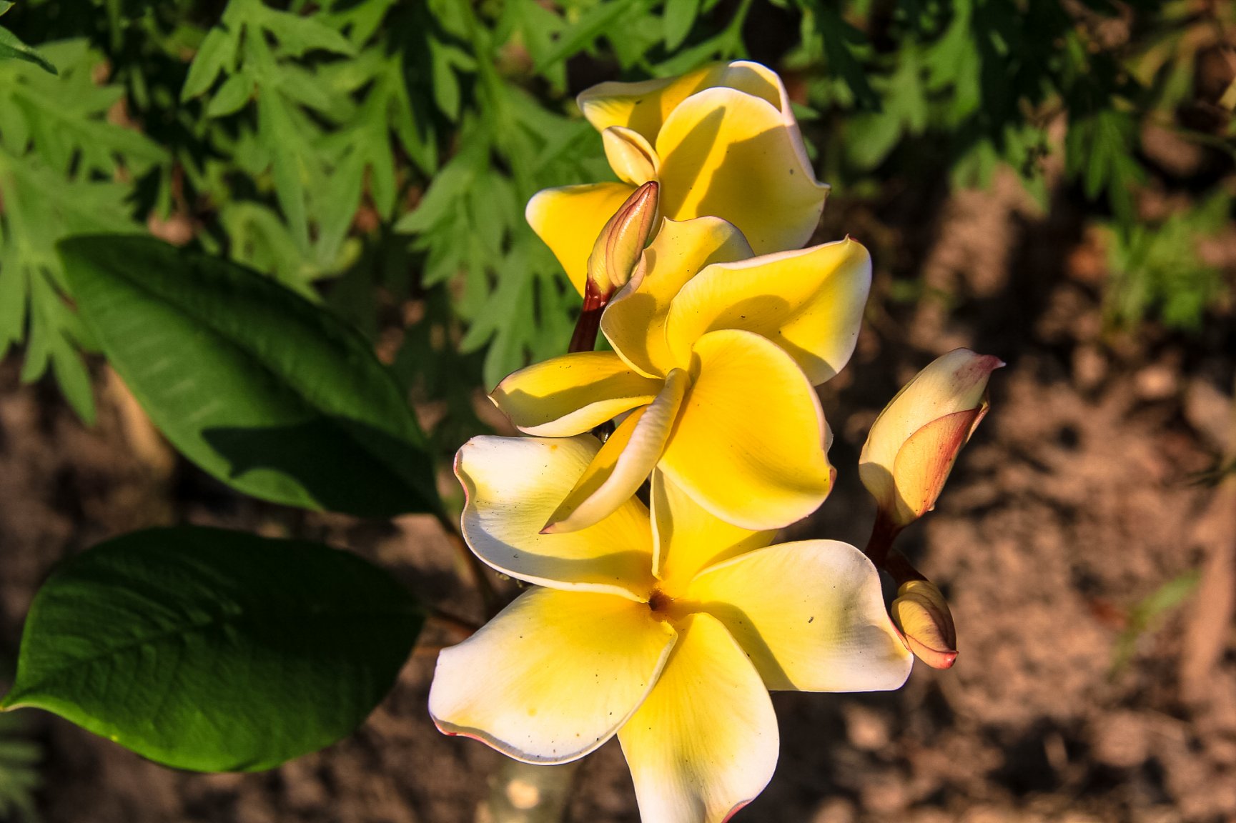 March 2017-9063-2.jpg