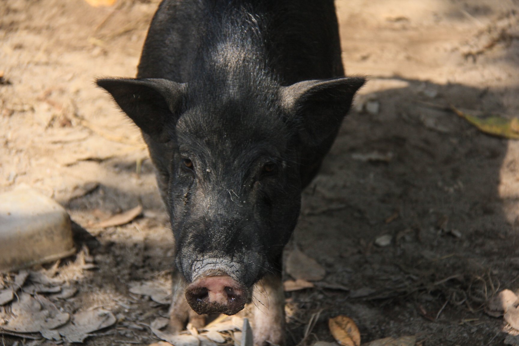 March 2017-9059-2.jpg