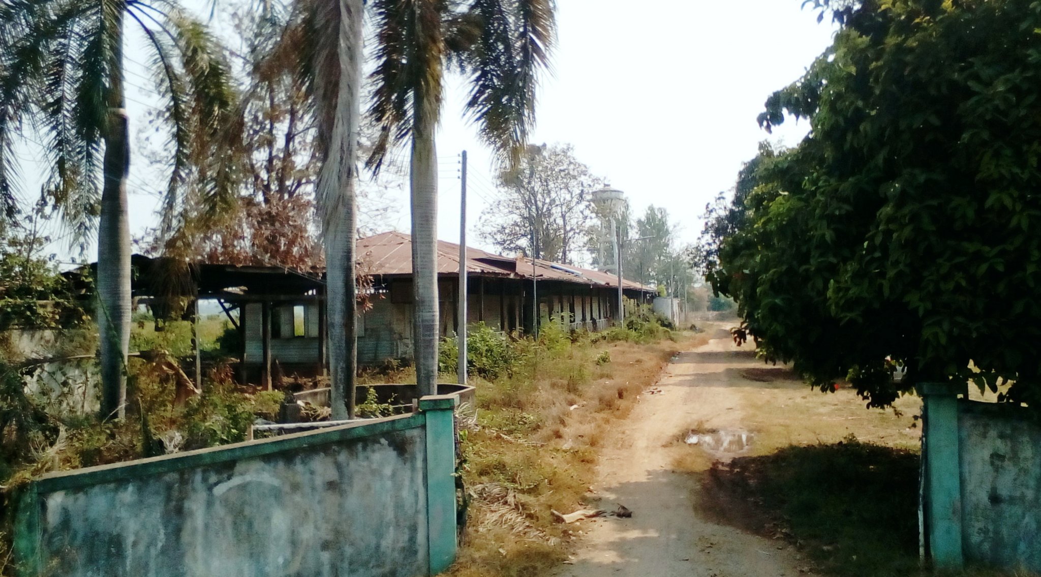 Wang To 1 - Rai Aoi Uttaradit.jpg