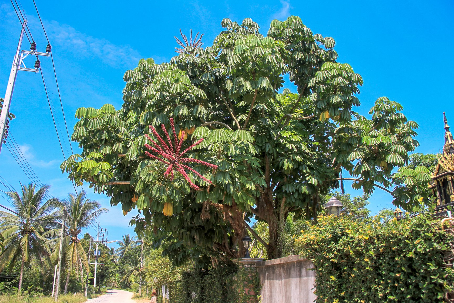 March 2017-0581-2.jpg