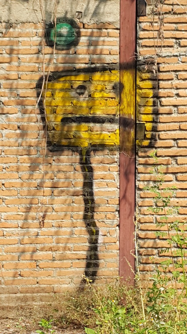 graffti sad face boxes flowers suissun marker 16  feb 15 20150216_105705.jpg