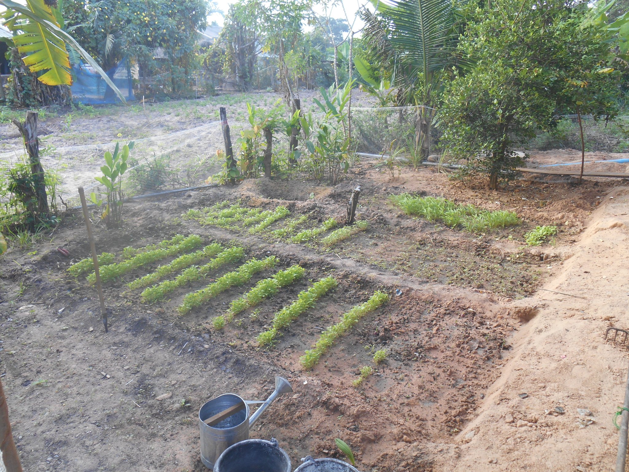 thailande 2016 120.jpg