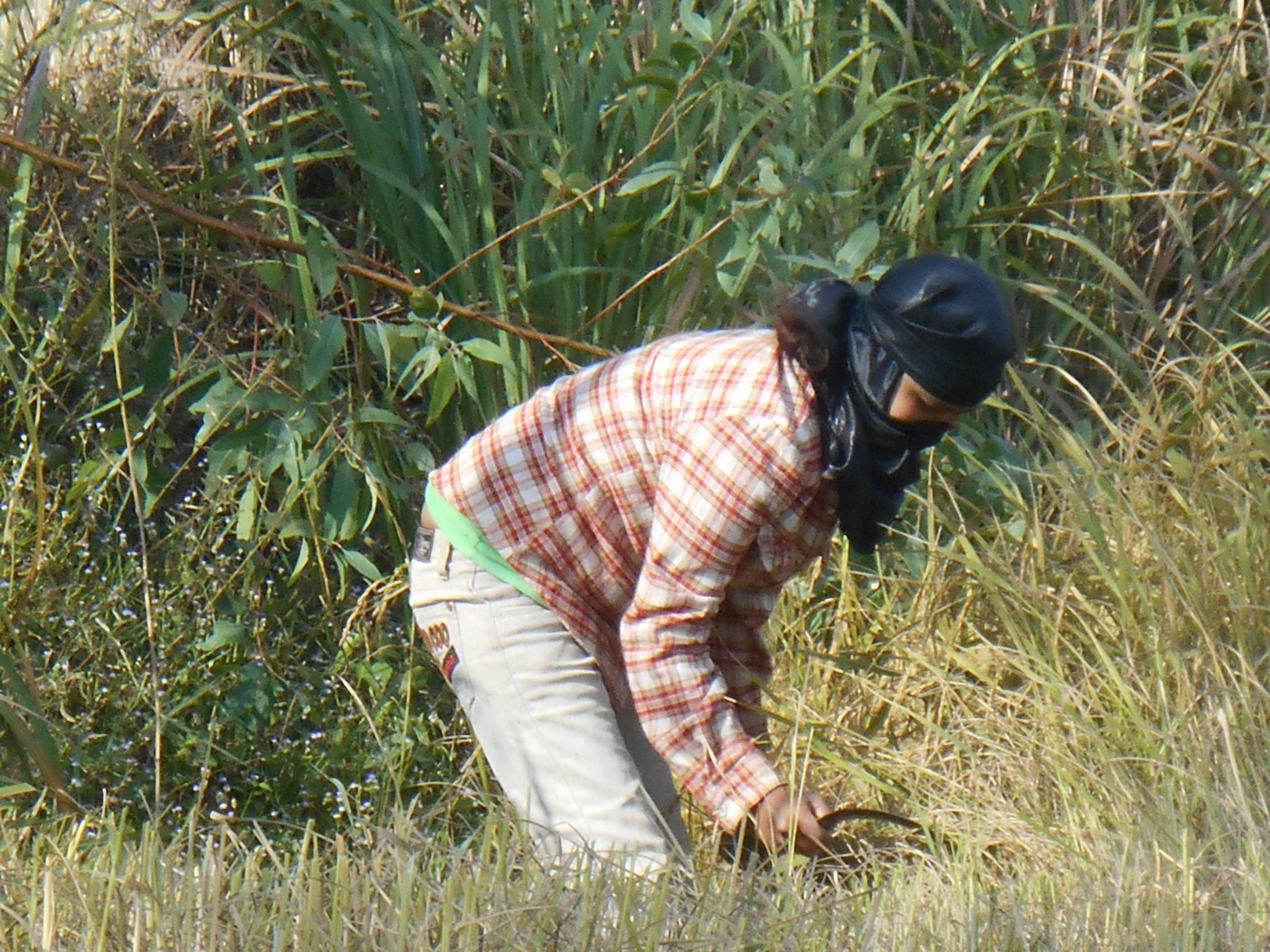 thailande sept. 2013 101.jpg