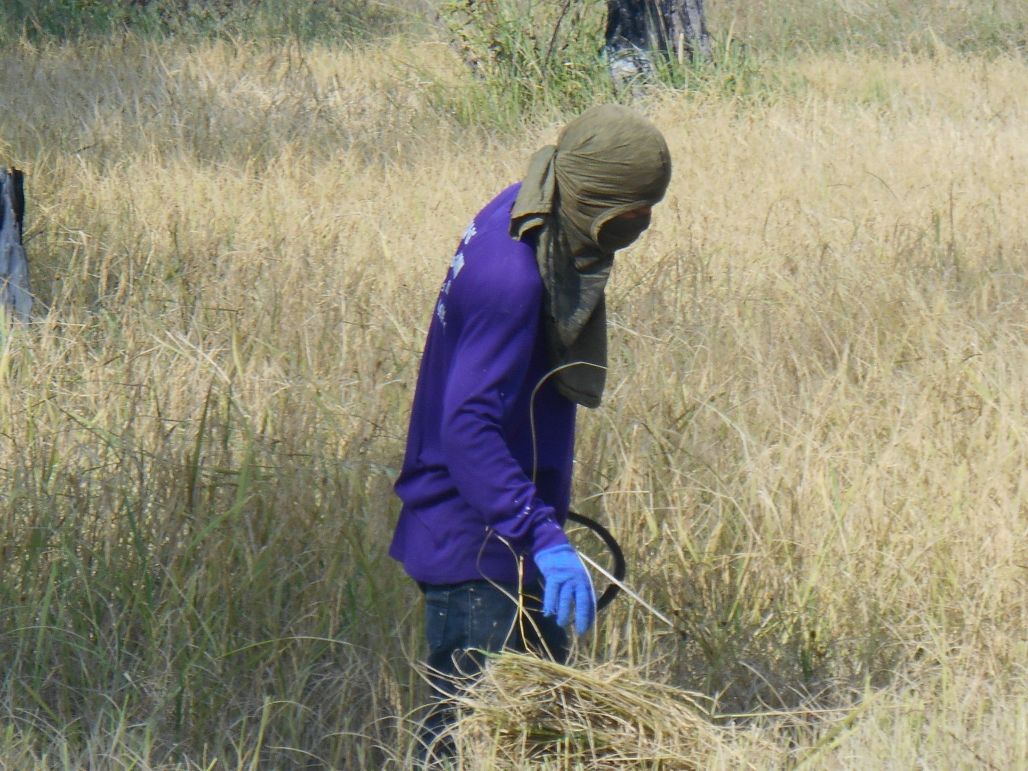 thailande sept. 2013 097.jpg