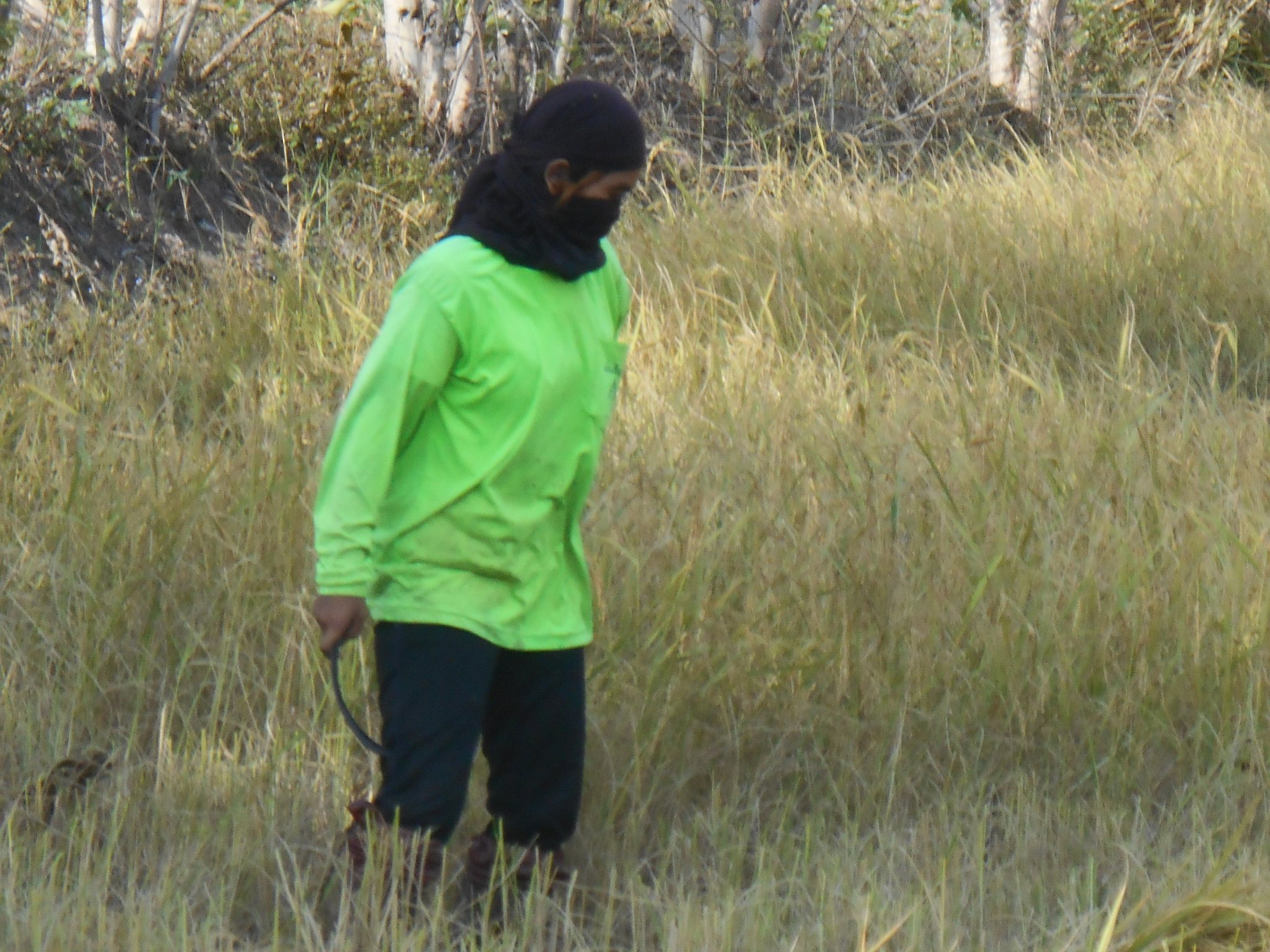 thailande sept. 2013 099.jpg