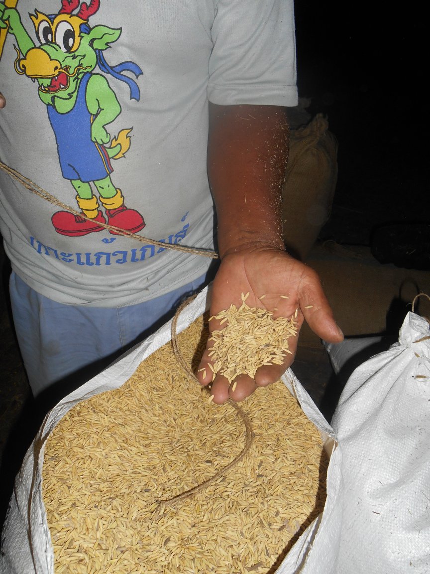 thailande 2016 118.jpg