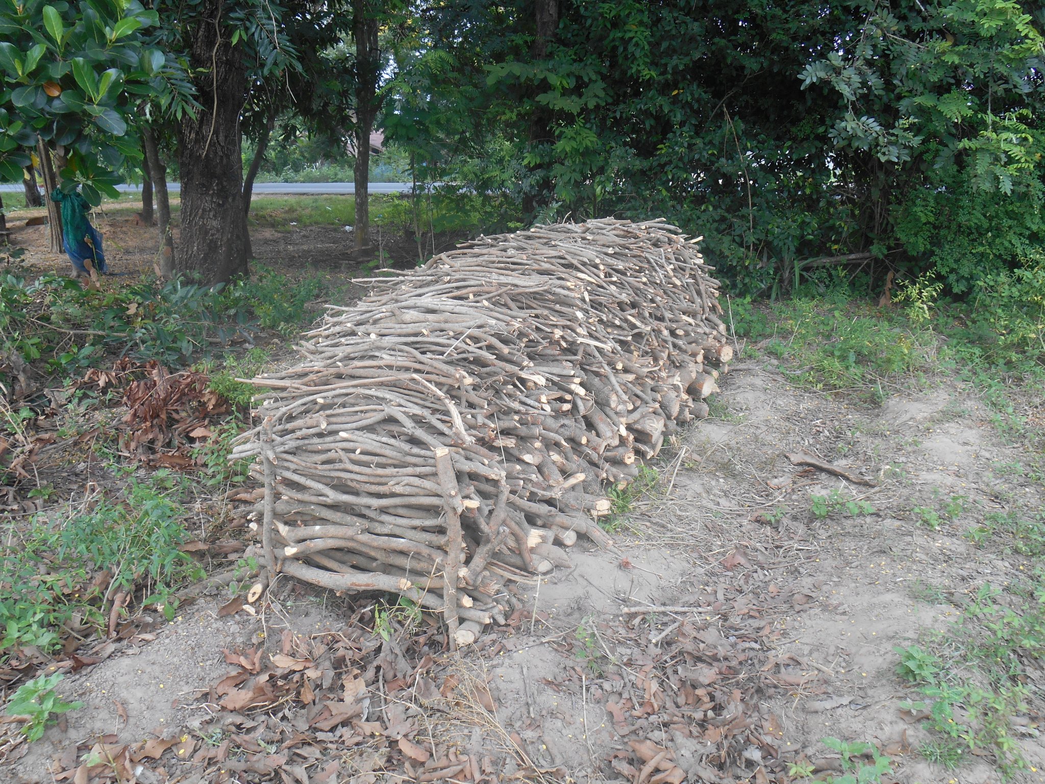 thailande 2016 055.jpg