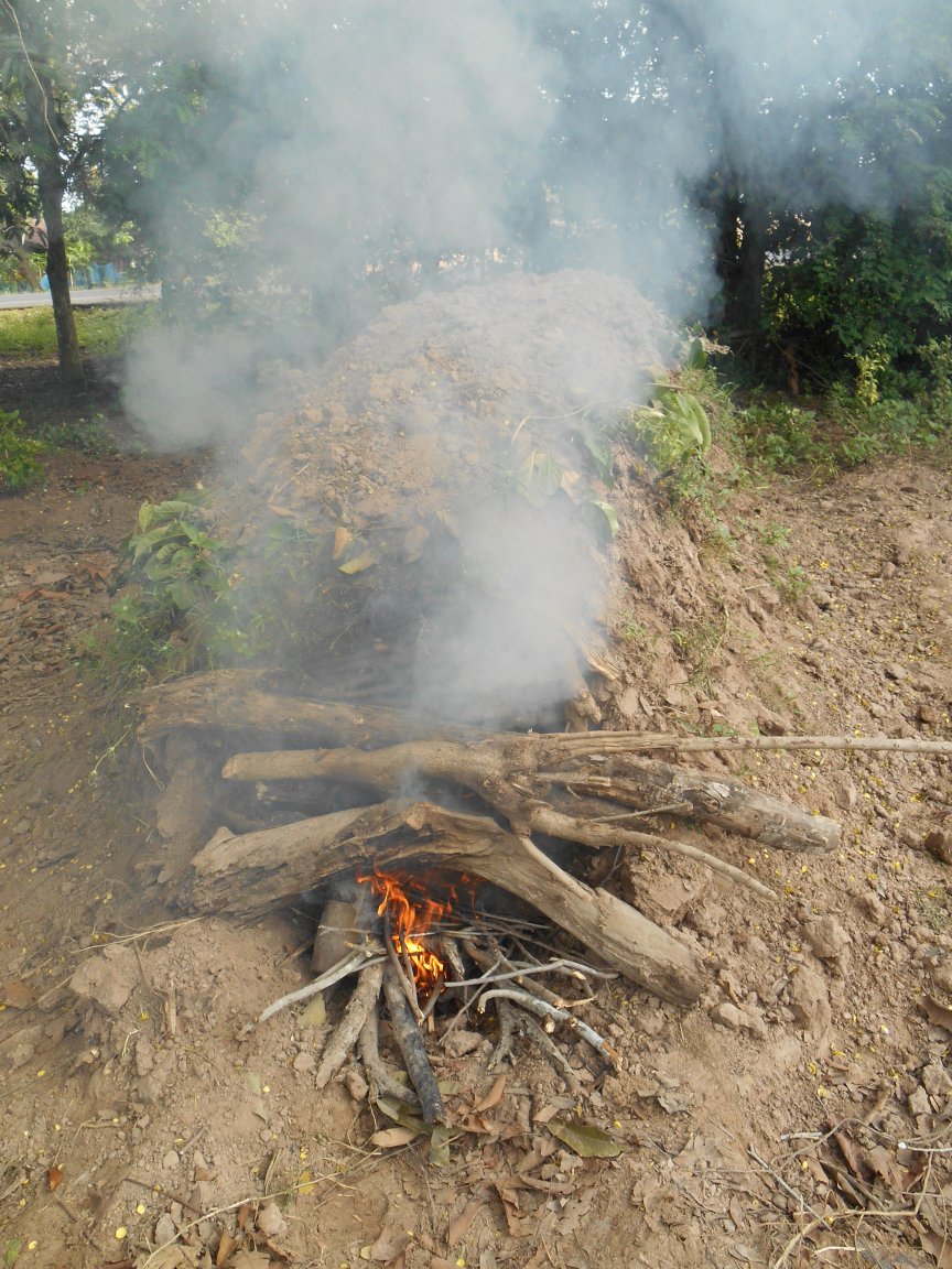 thailande 2016 086.jpg