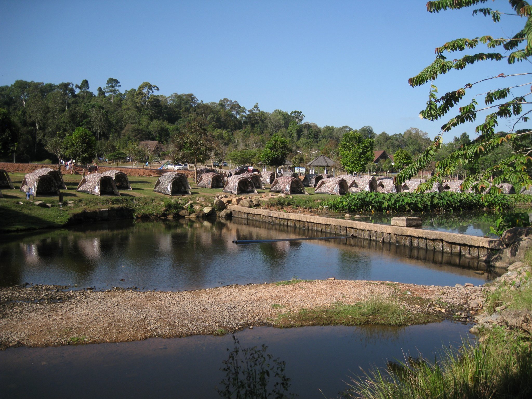 Khao Yai  Jan 2016 012.JPG