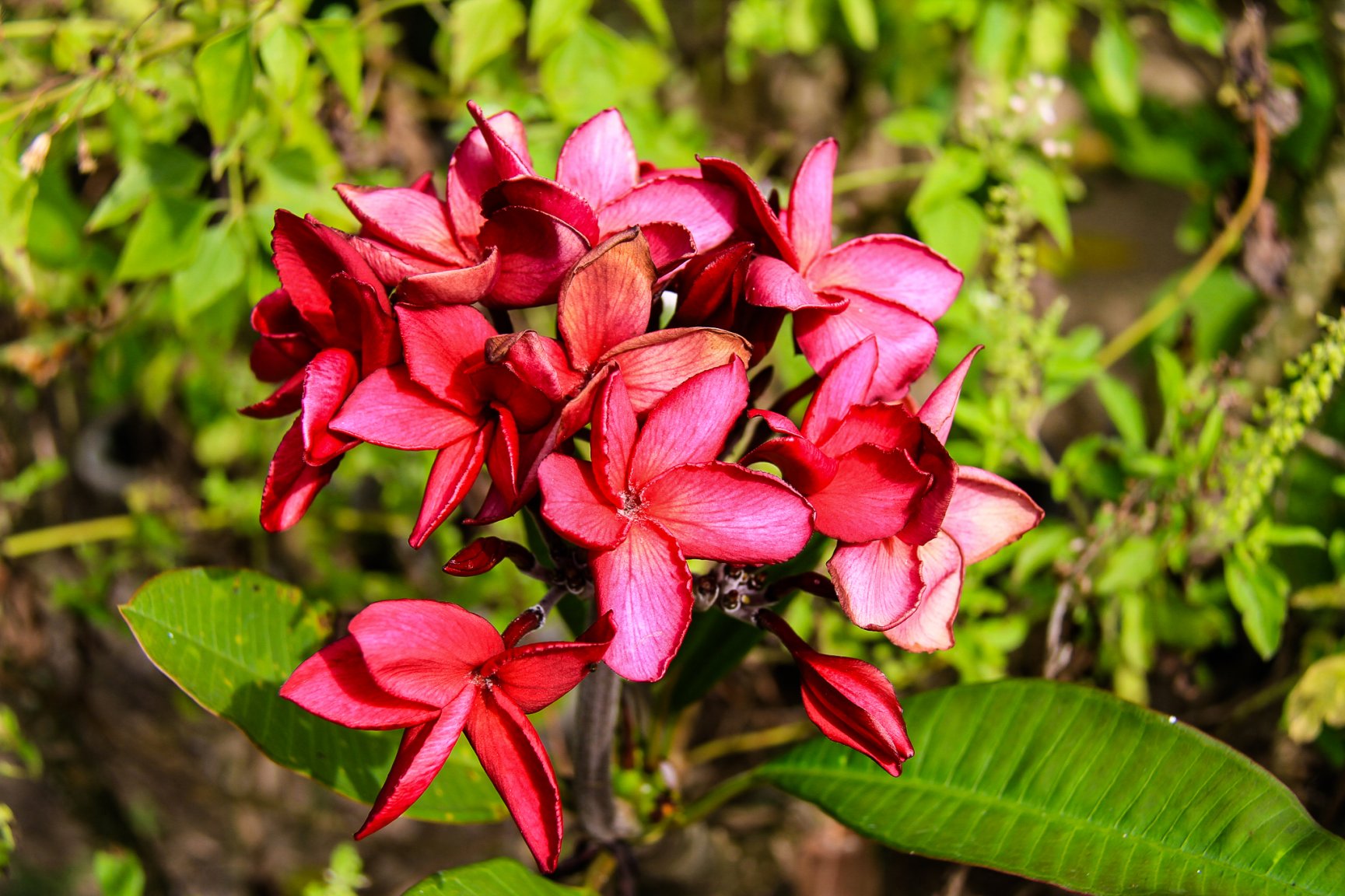 March 2017 -0836-2.jpg