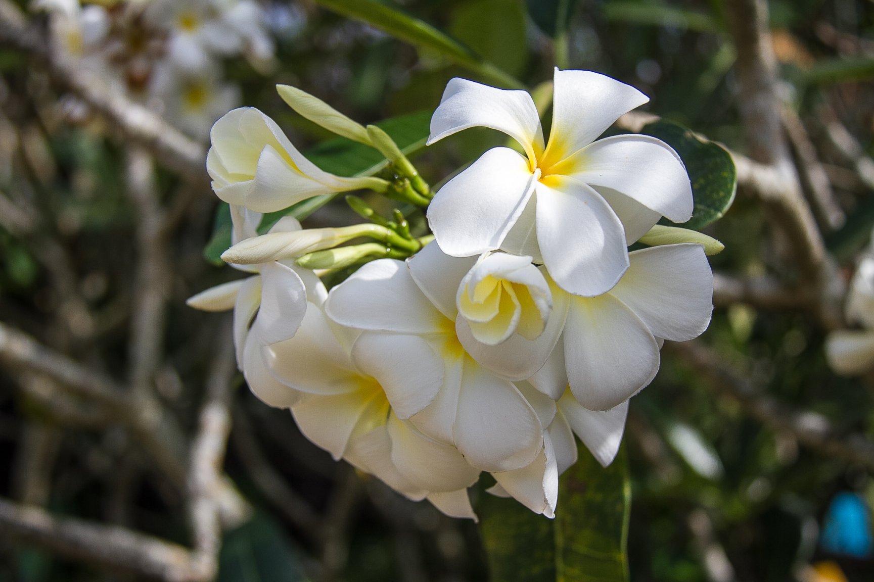 March 2017 -0840.jpg