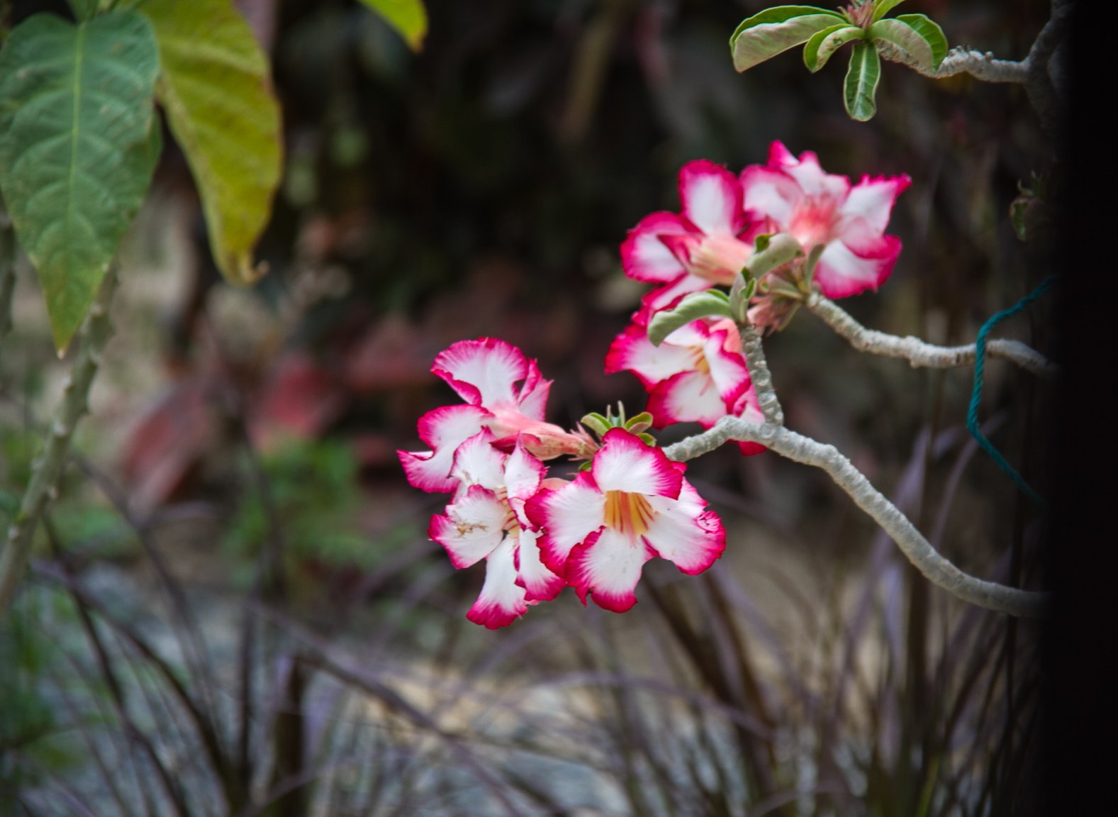 March 2017 -0833.jpg