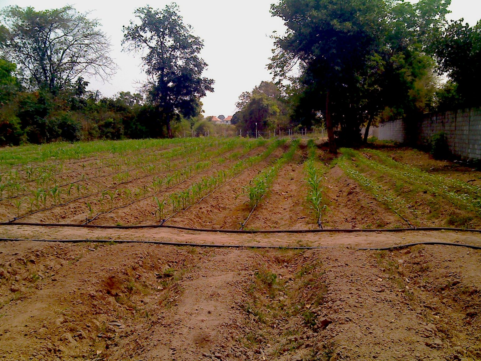 0229_131735 copy.jpg