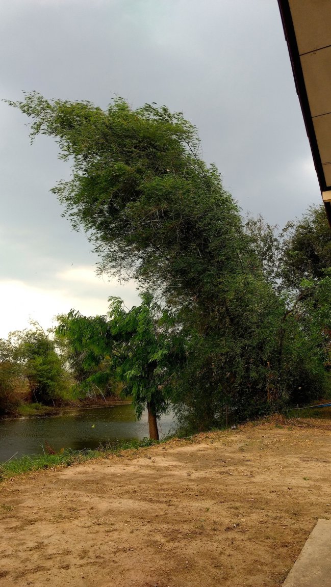 IMG_20170318_145033044 copy.jpg