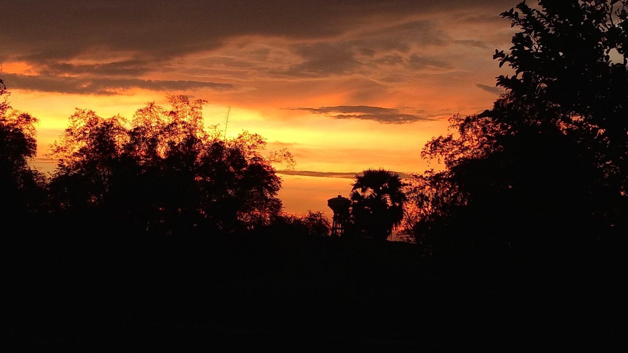 IMG_20170320_183225060 copy.jpg