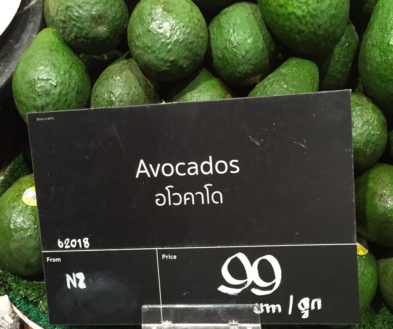 966.JPG