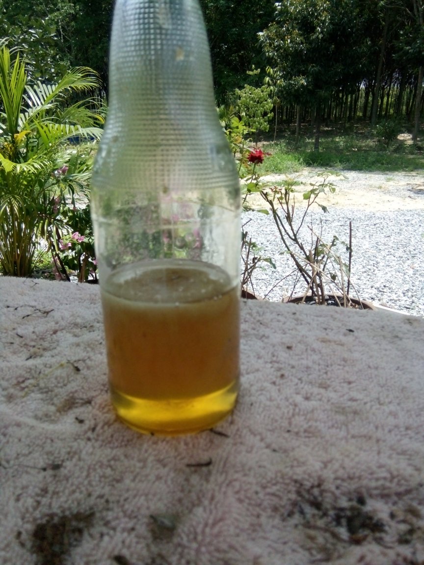 IMG20170330115418.jpg