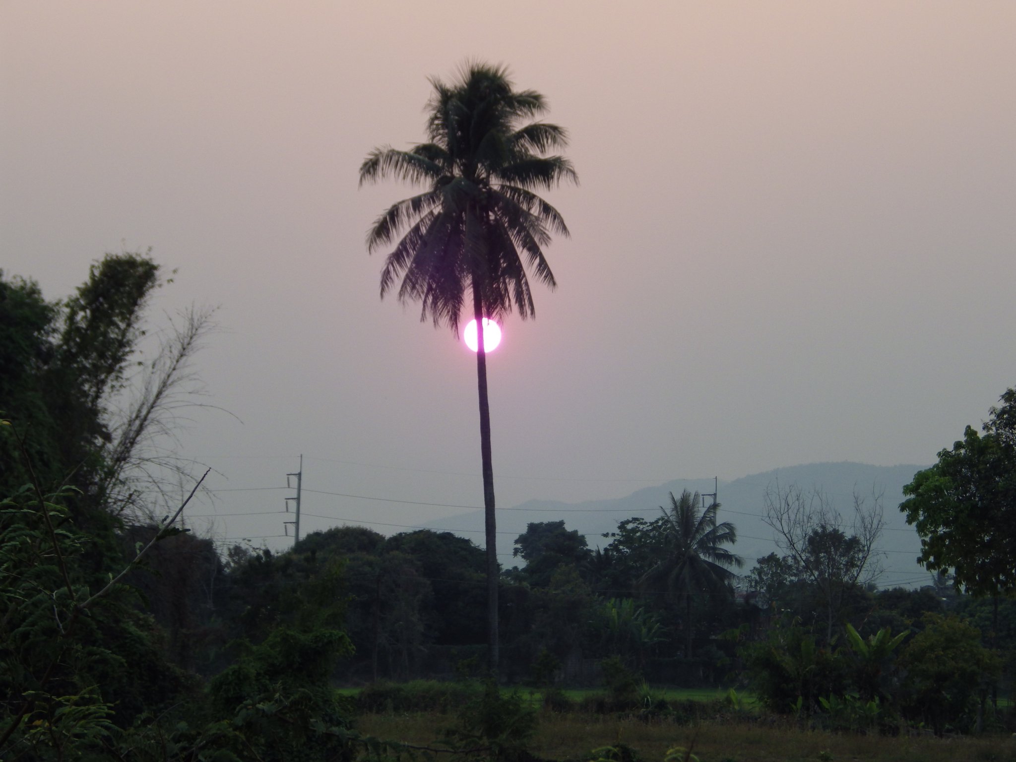 IMGP0738.JPG