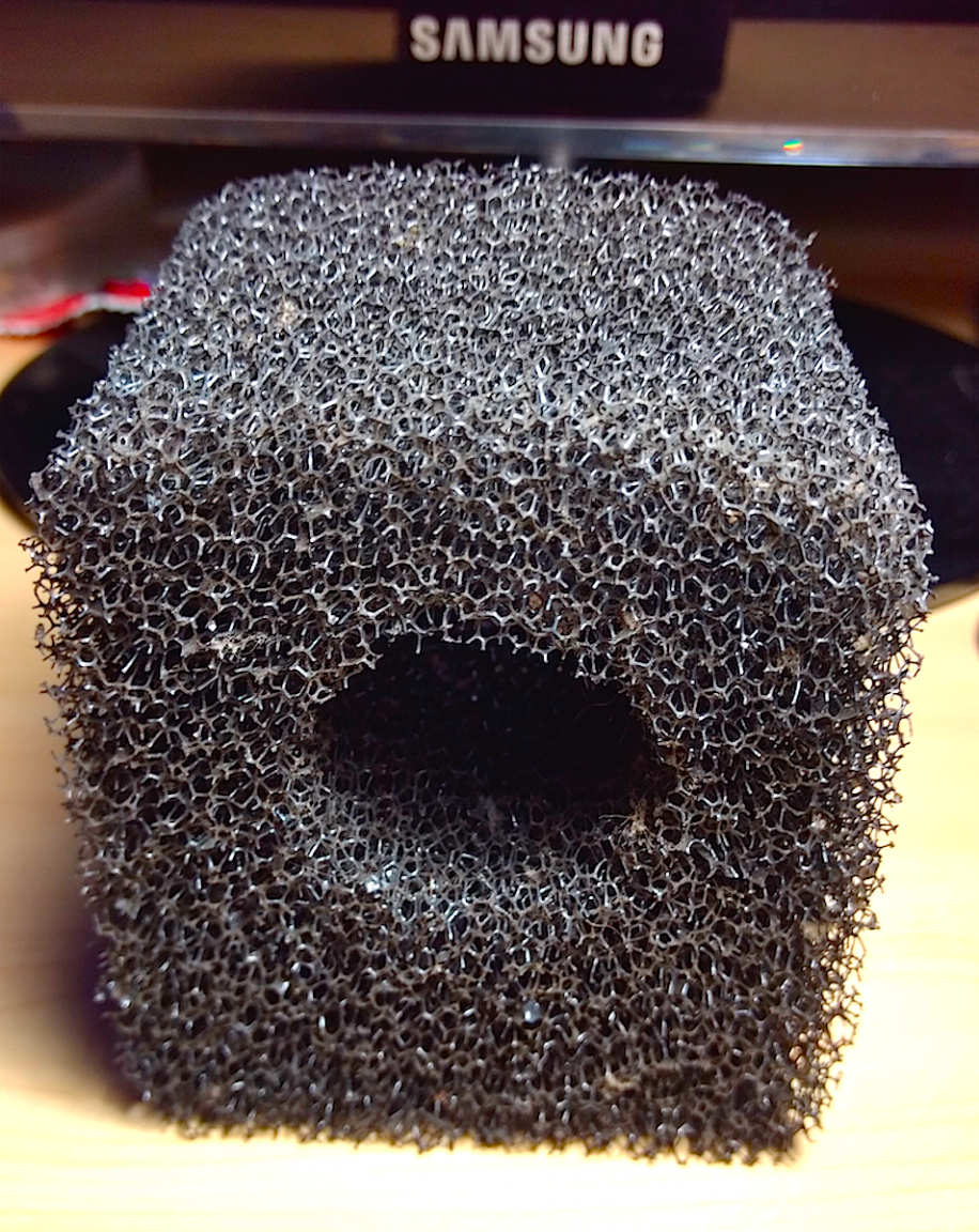 foam.png