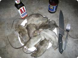 rats.jpg.c29d3bcb58df3a570ee2b075d3e1cecf.jpg