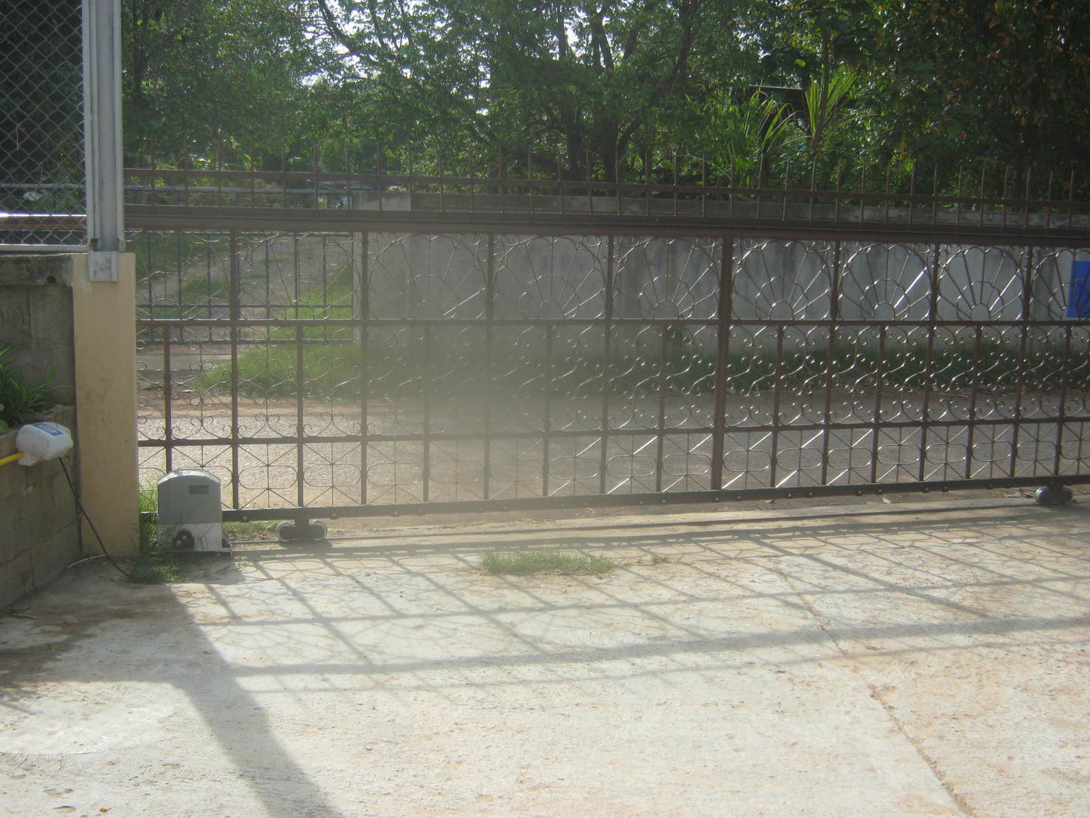 006.JPG