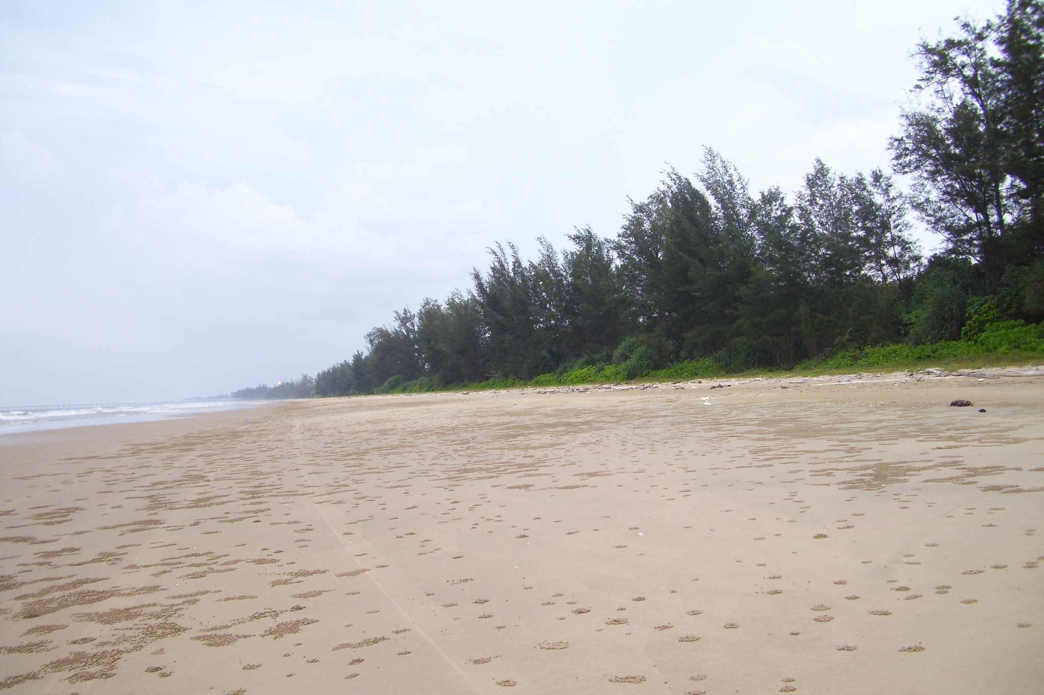 100_3531.JPG