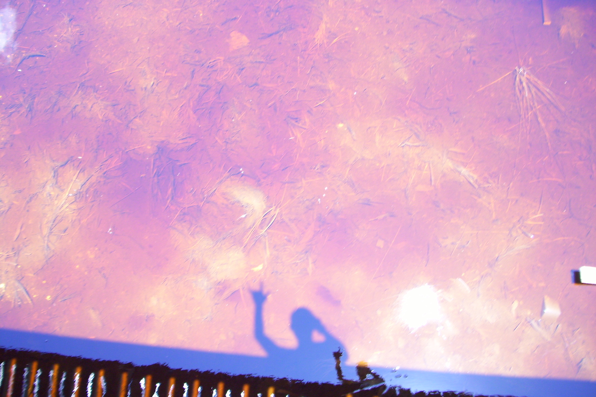 100_3625.JPG