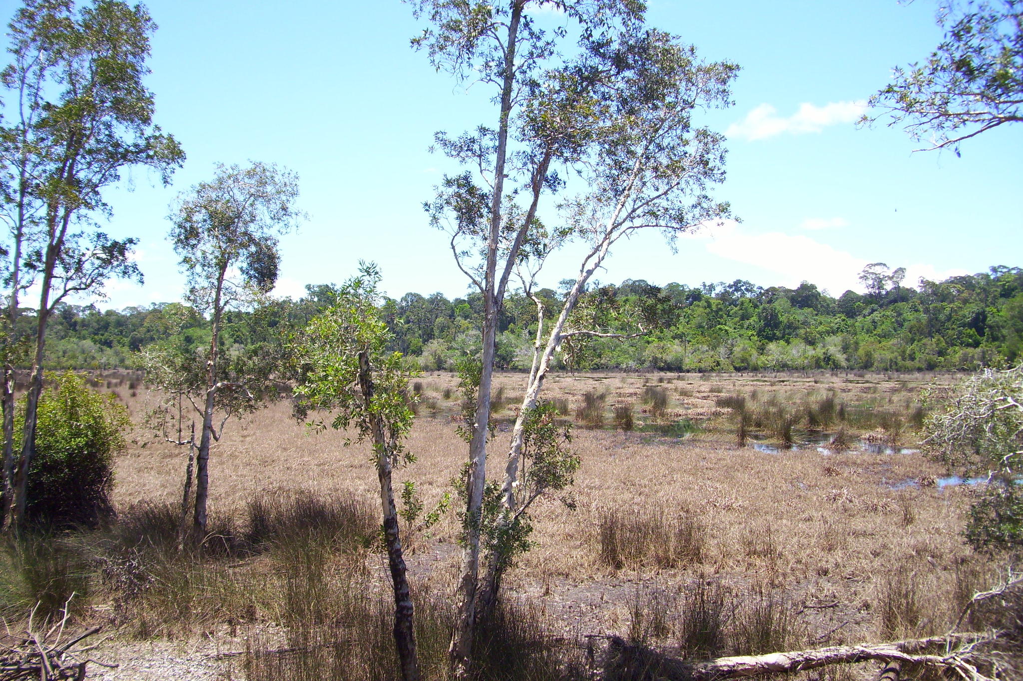 100_3597 - Copy.JPG