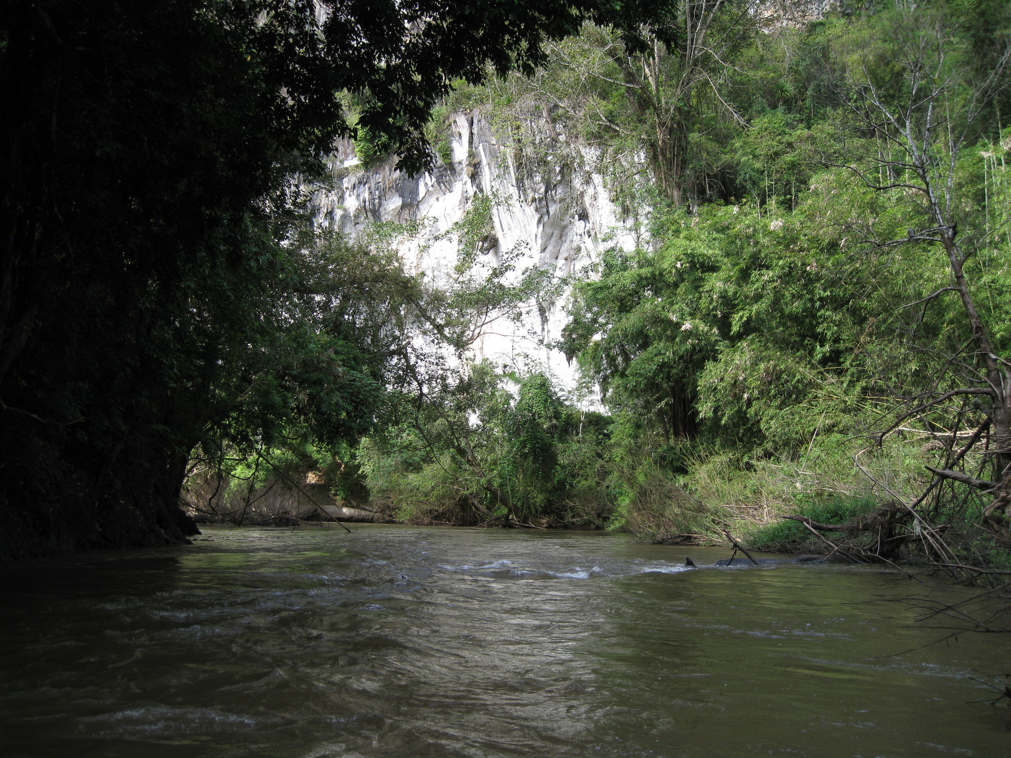 Chiang Mai trip, Dec 2012 039.JPG