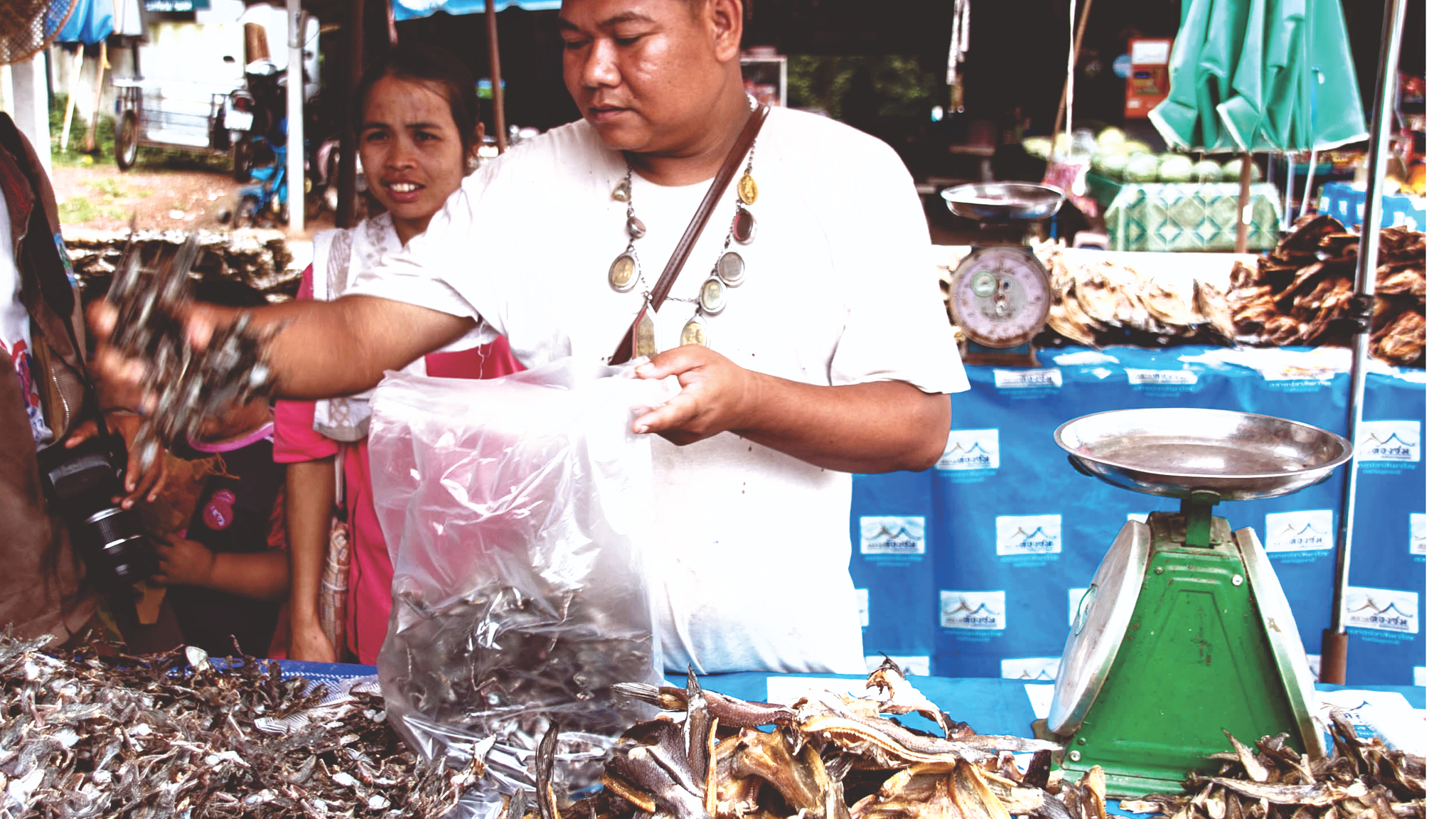 frogs of issan market 2.jpg