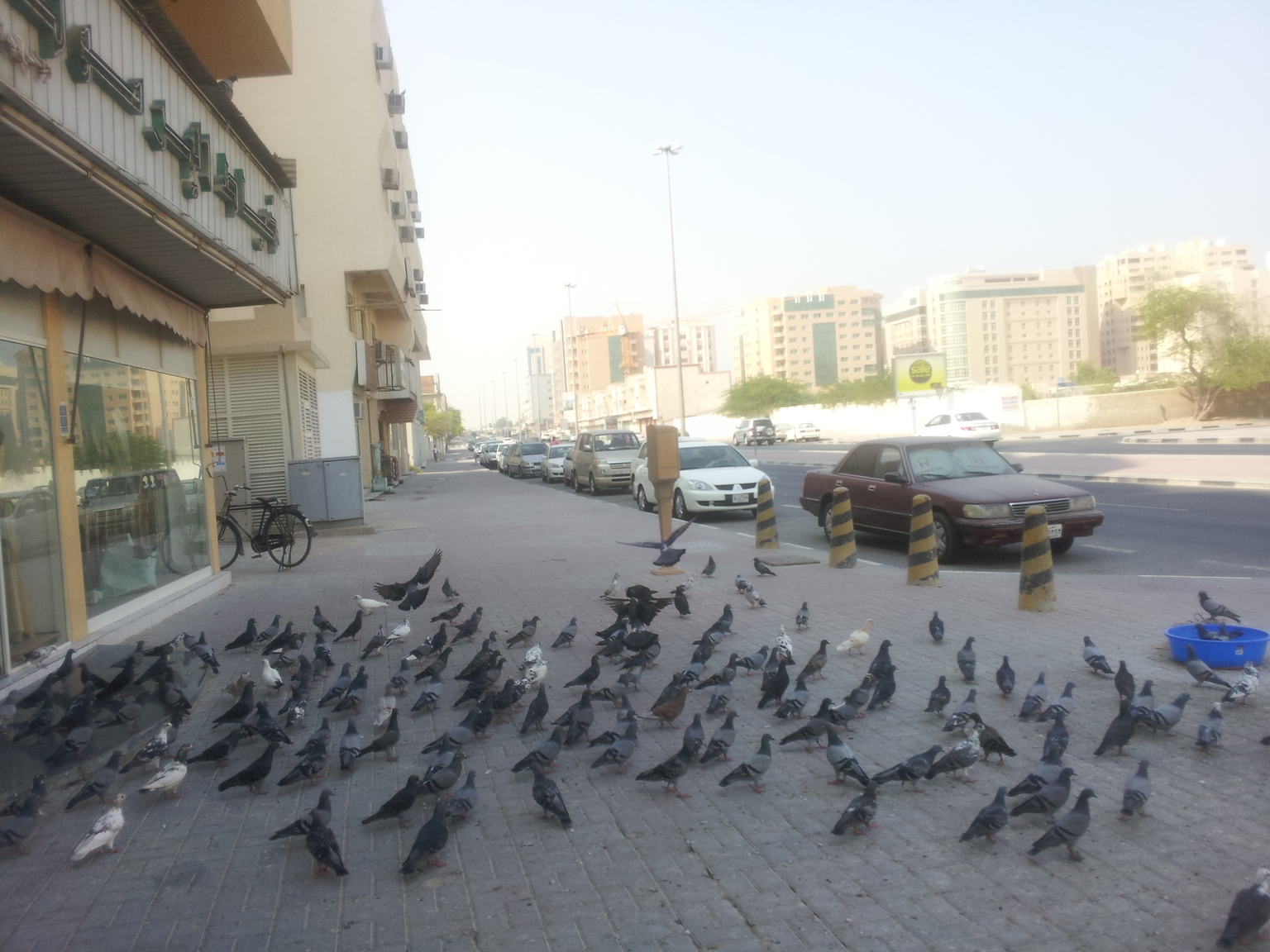 2011-10-01 14.12.35.jpg