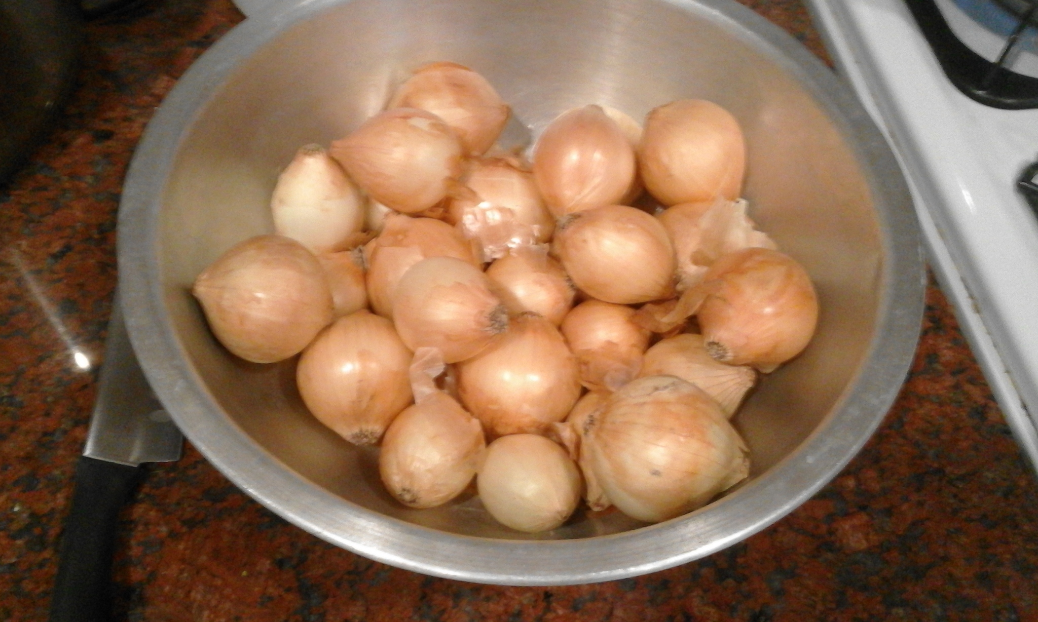 Small Onions Big C.jpg