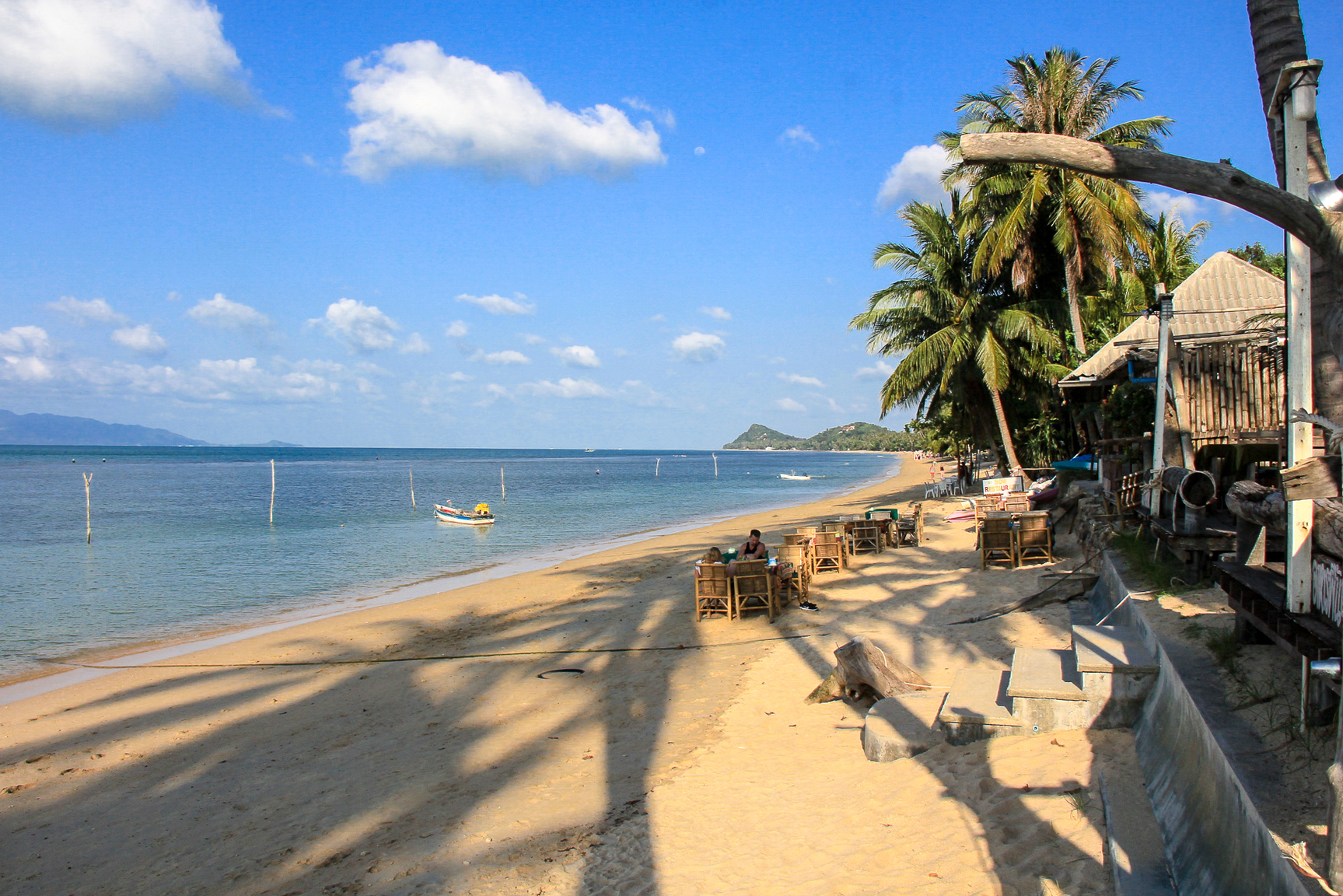 Flowers Sea March 2017-9089.jpg