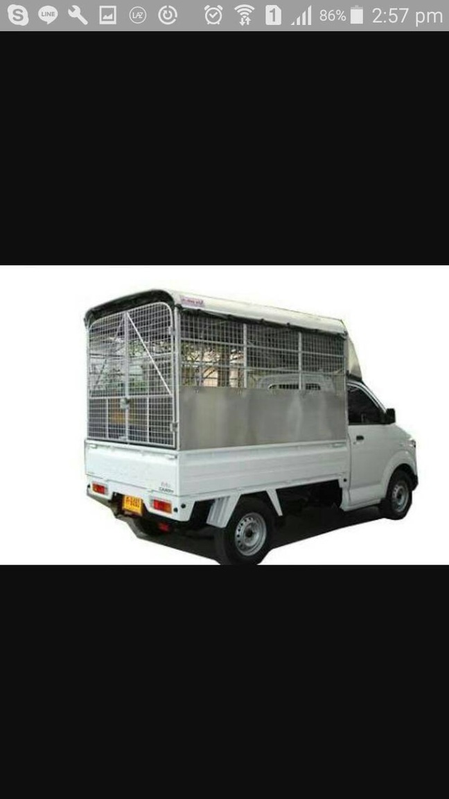 Suzuki Carry Cage.JPG