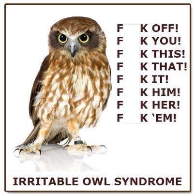 5901be5e985c2_IRRITABLEOWLSYNDROMEok.jpg.f0ff12d5b4758ec1c5b911952170d33c.jpg