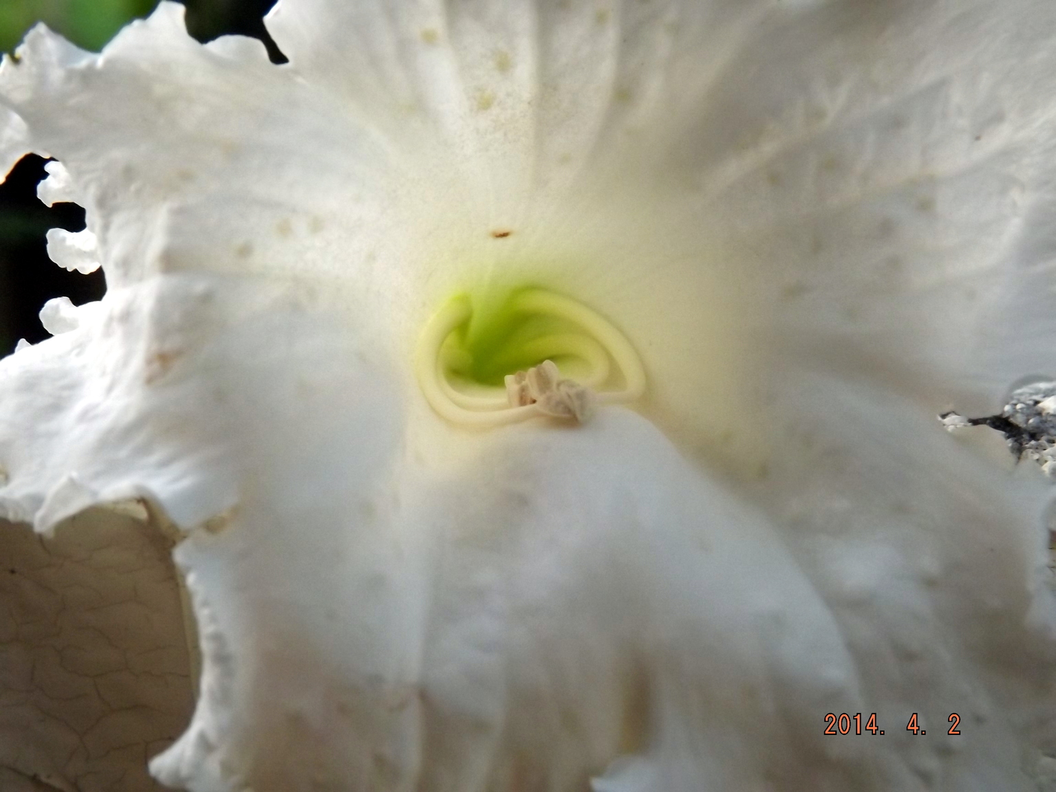 DSCF5018.JPG