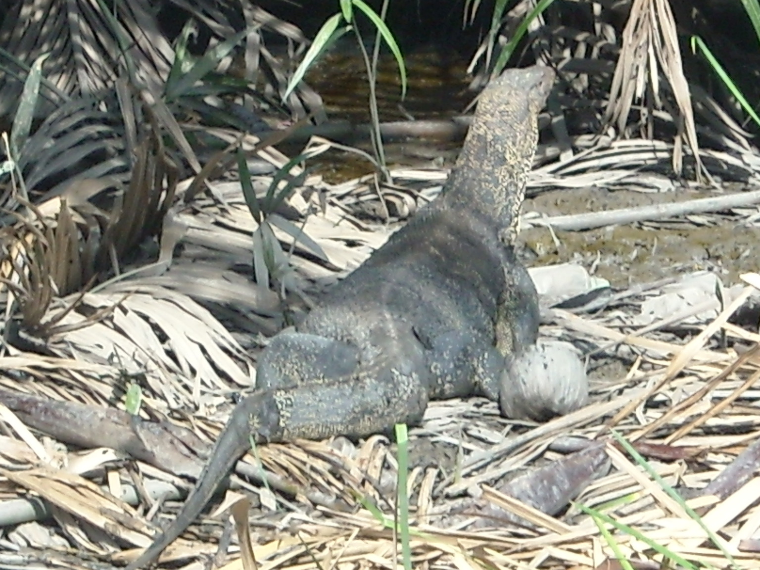 DSCN1276.JPG