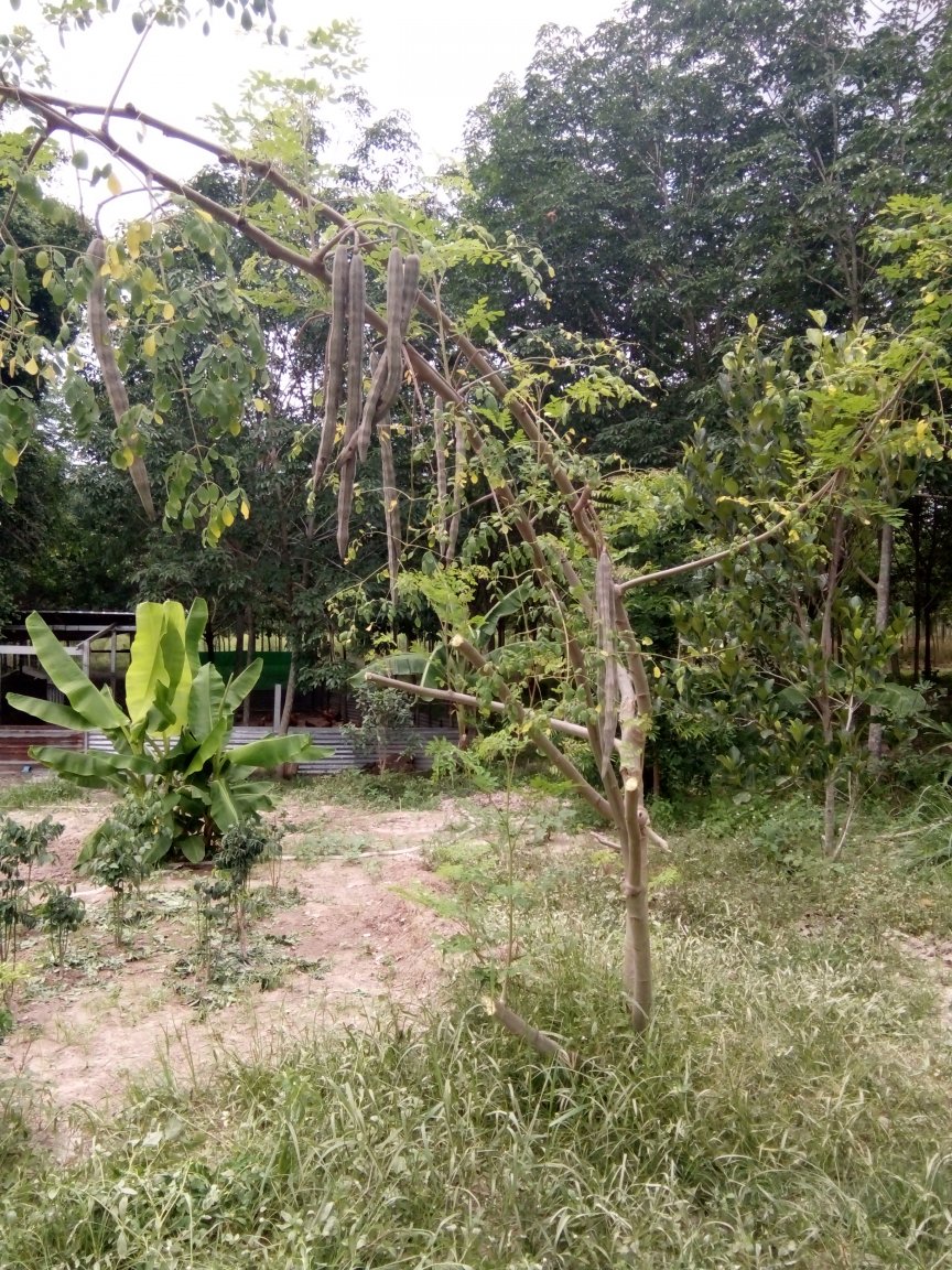 IMG20170406135059.jpg