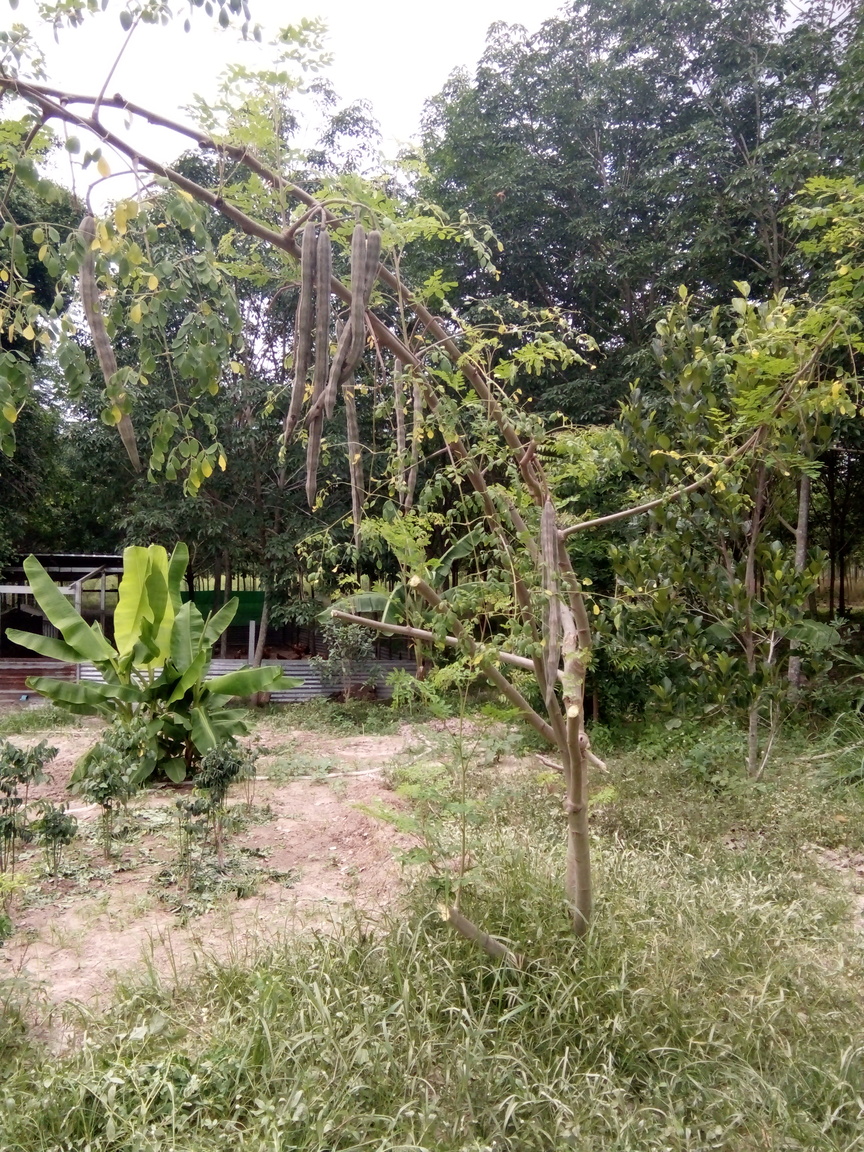 IMG20170406135059.jpg
