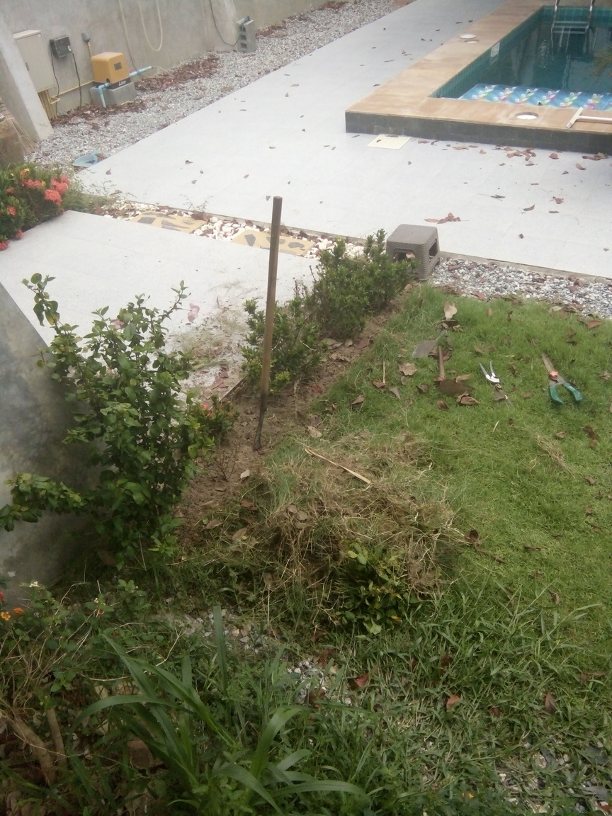 IMG20170420122636.jpg